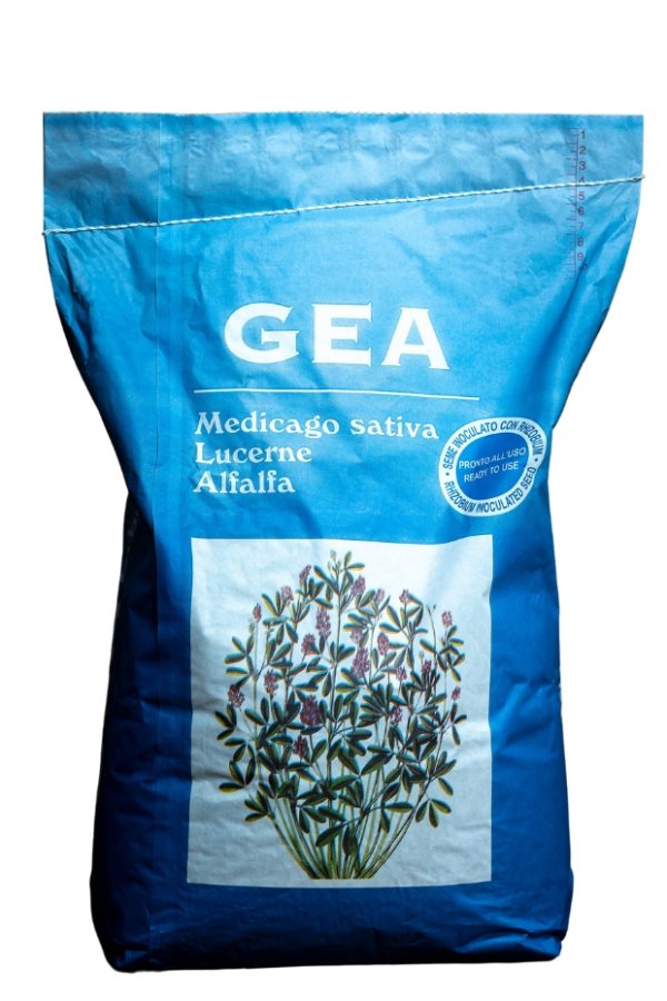 gea plus seminte de lucerna albastru