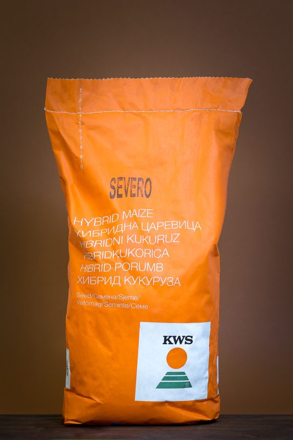 Seminte porumb KWS - Severo 50 MB