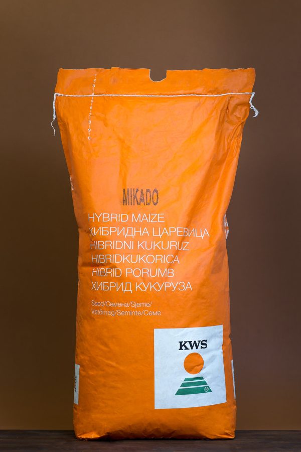 Semințe porumb KWS - Mikado 50 MB