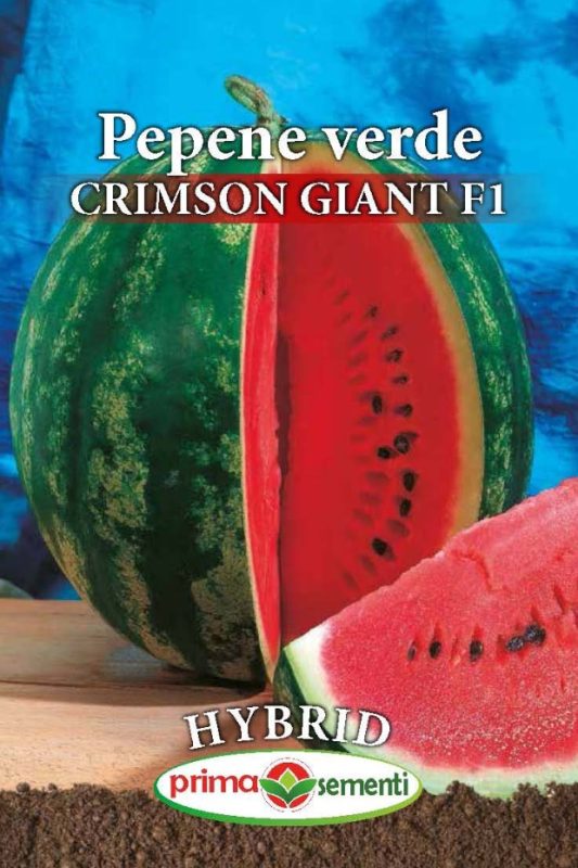 Seminte pepene verde Crimson Giant F1