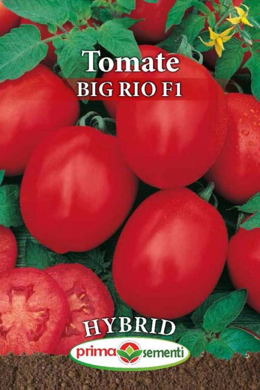 Seminte tomate Big Rio F1