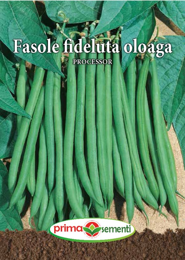 Fasole fideluta oloaga Processor