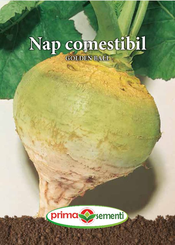 Nap comestibil