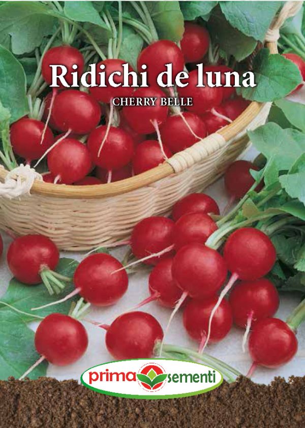 Ridichi de luna Cherry Belle