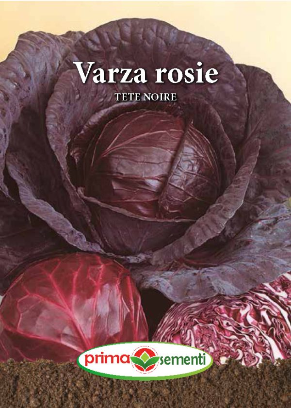Varza rosie Tete Noire