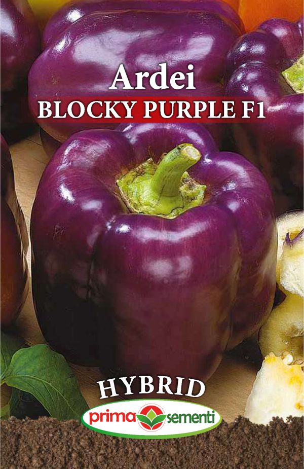 Seminte ardei Blocky Purple F1
