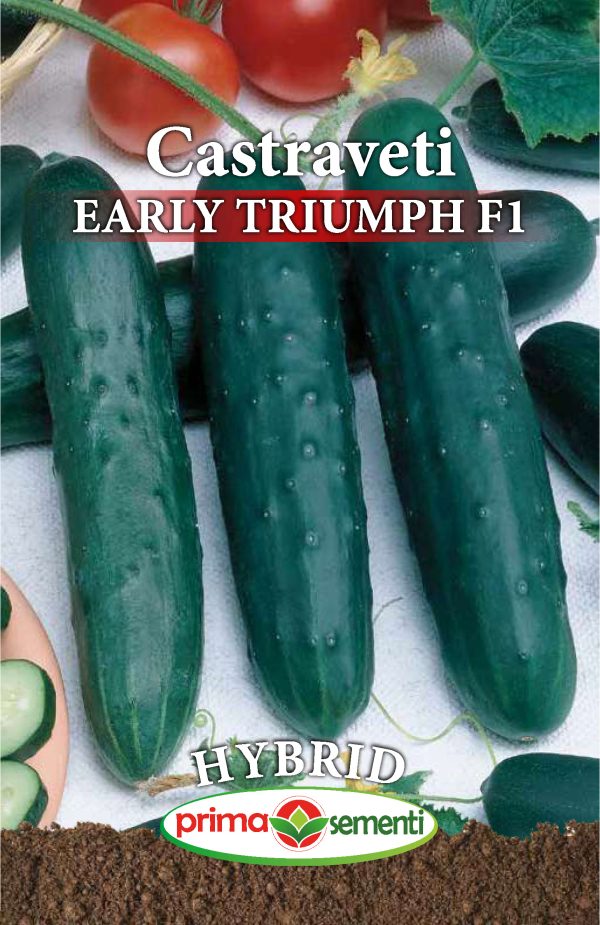 Seminte castraveti Early Triumph F1