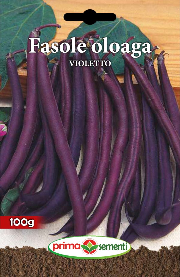 Seminte fasole oloaga Violetto 100 g