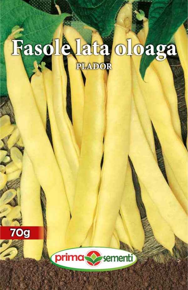 Seminte fasole lata oloaga Plador 70 g