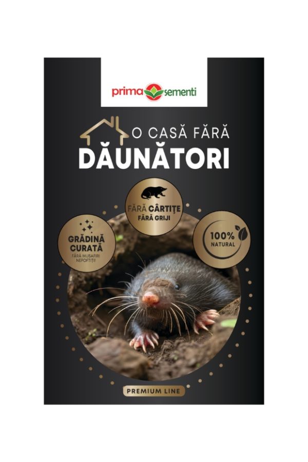 O Casa Fara Daunatori Cartite